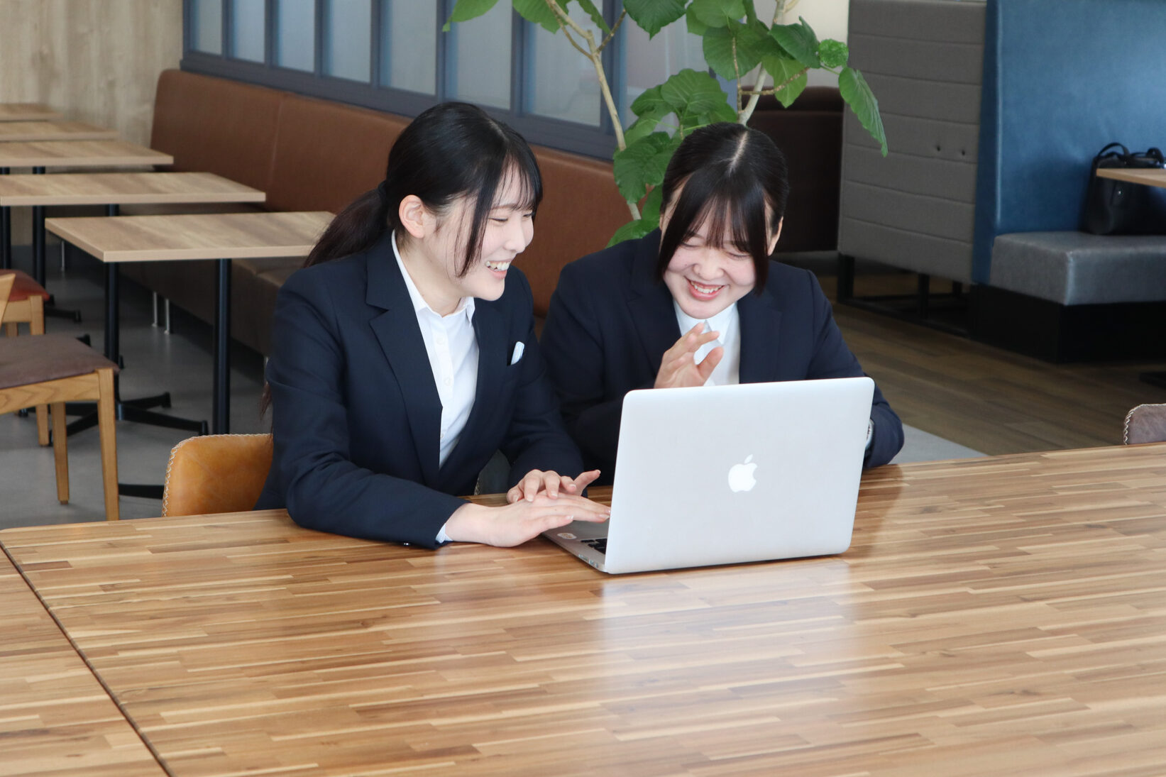 新入社員